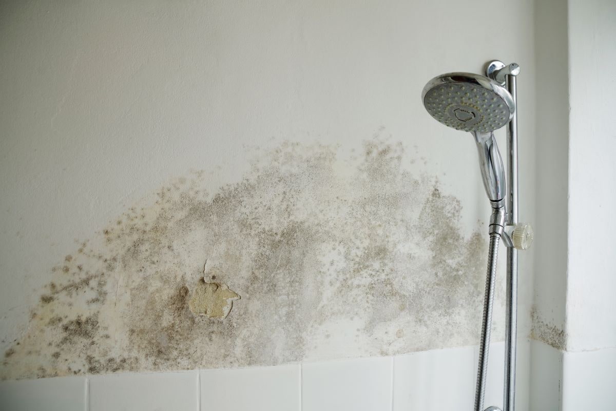 băng vệ sinh có hạn sử dụng không